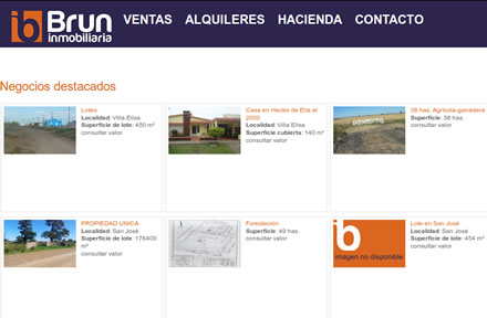 Brun Propiedades